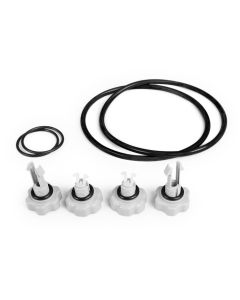 Intex O-ringen set